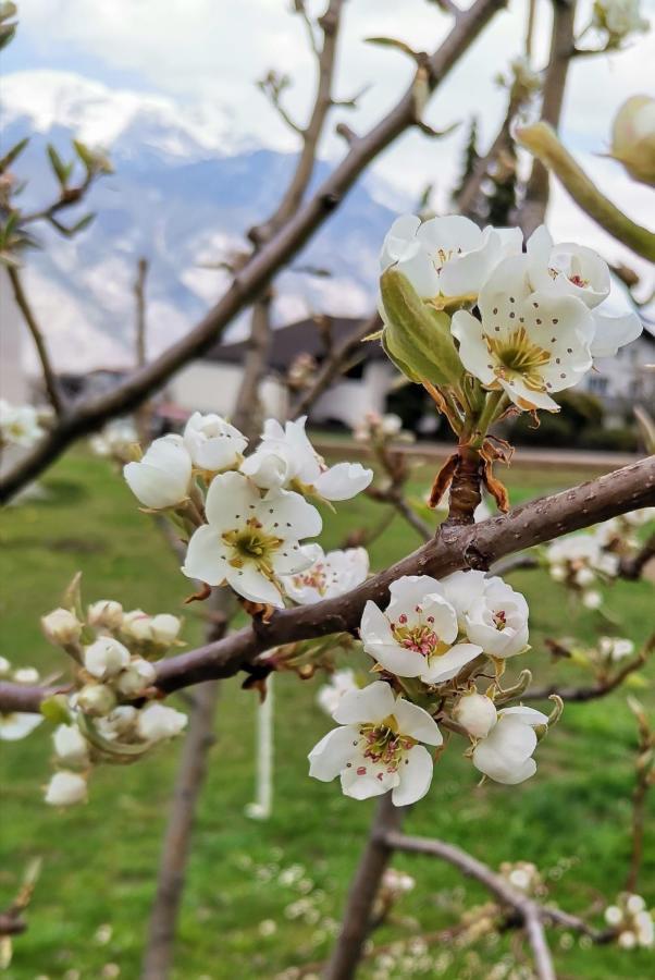 Ferienwohnungen Simon - Hauserhof Oberperfuss Zewnętrze zdjęcie