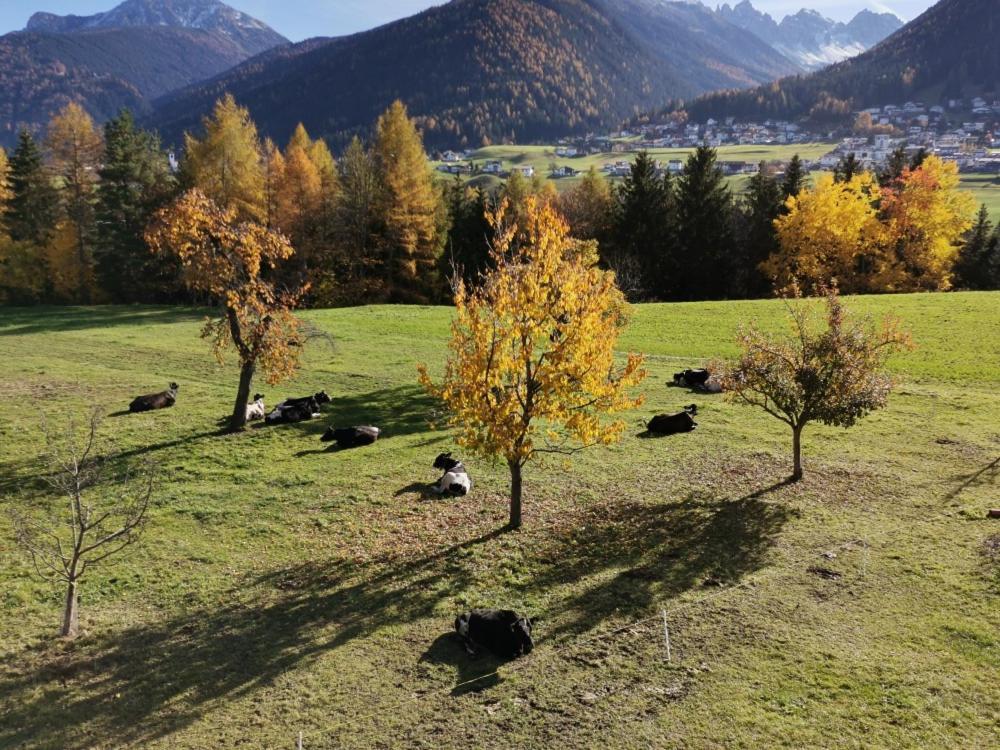 Ferienwohnungen Simon - Hauserhof Oberperfuss Zewnętrze zdjęcie